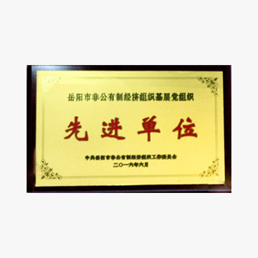 岳阳市先进单位