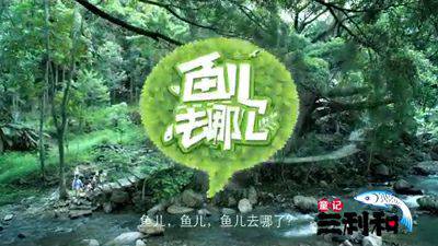 品牌传播鱼儿去哪儿