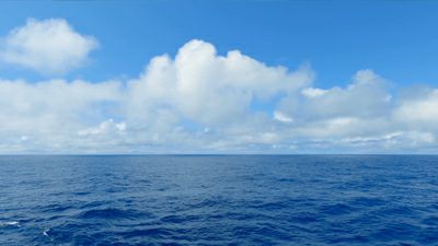 三利和酱汁小鱼产品广告片（一）