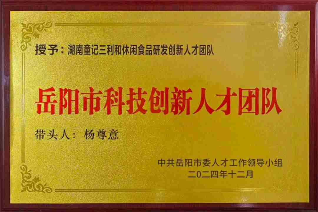 岳阳市科技创新人才团队