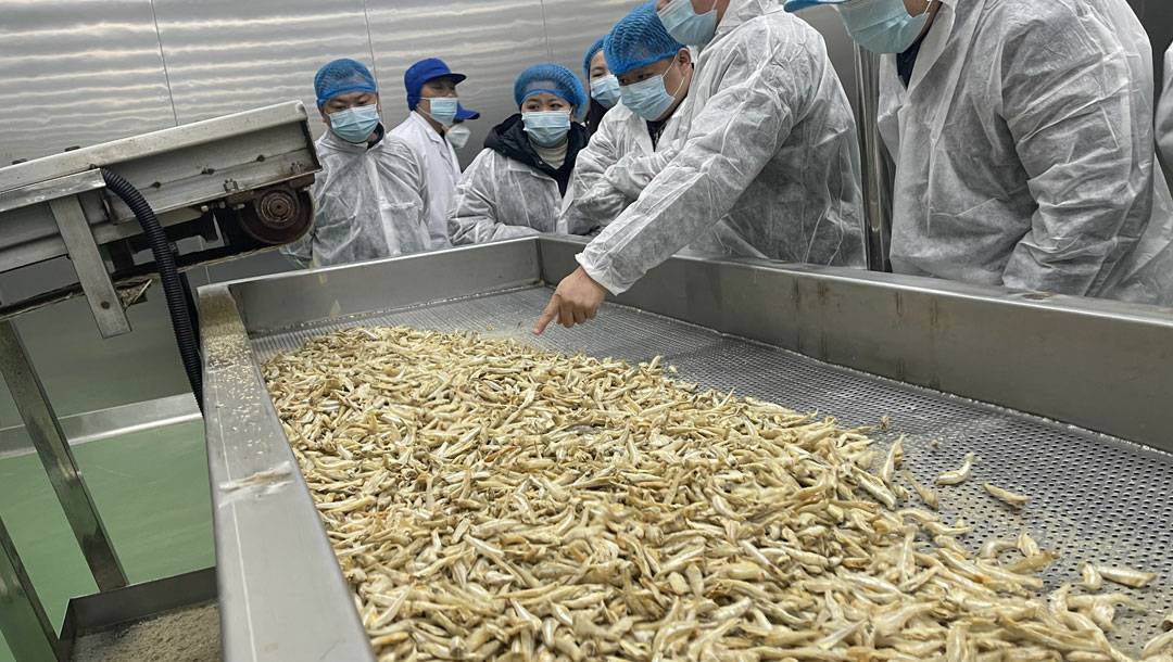 三利和小鱼仔筛选